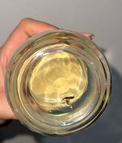 Mosquito Culex