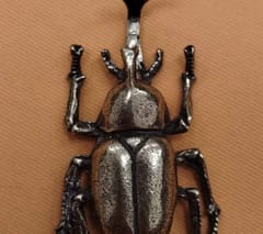 Escarabajo Hércules