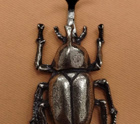 Escarabajo Hércules - Dynastes 